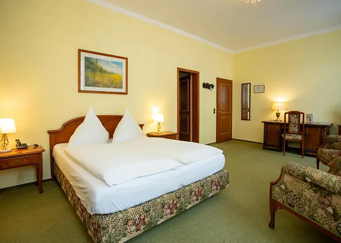 酒店 亚历山大酒店