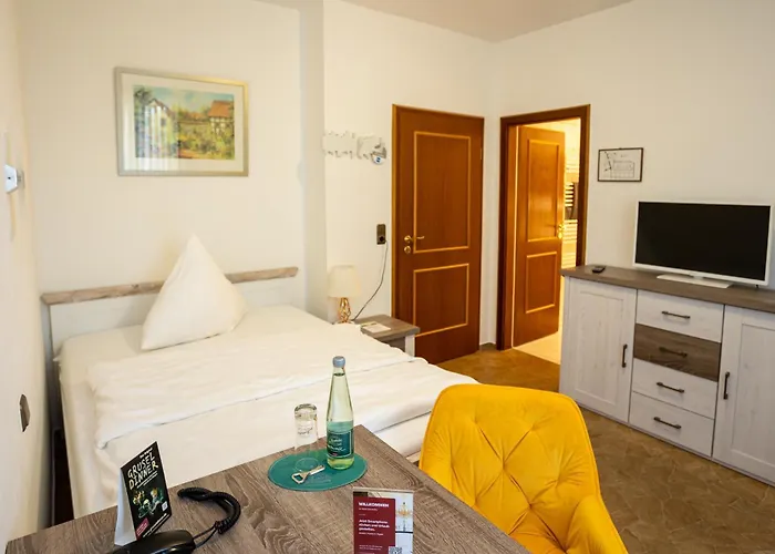 亚历山大酒店 4*